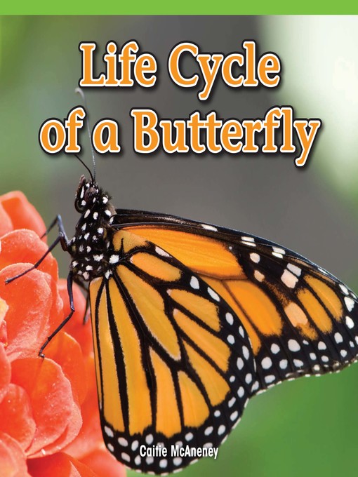 Cover image for Life Cycle of a Butterfly
